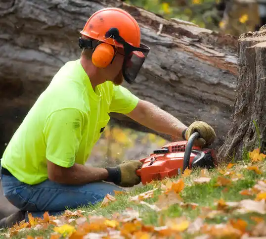 tree services Cortland West